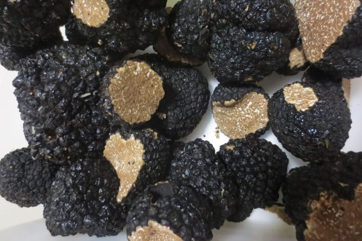 Scorzoni interi e tagliati a metà, la gleba chiara percorsa da venature